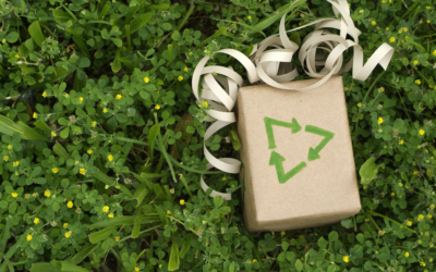 Sustainability and the holidays