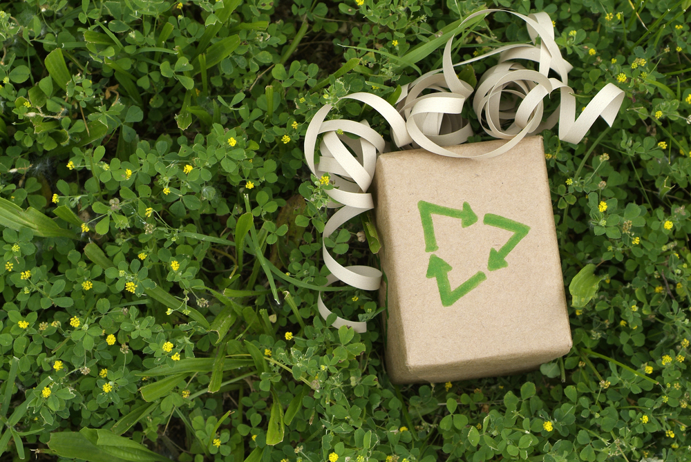 Sustainability and the holidays