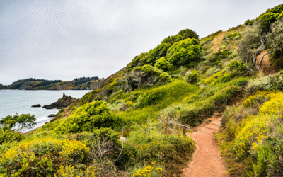 Journey into Elderhood: Embracing the Fourth Age